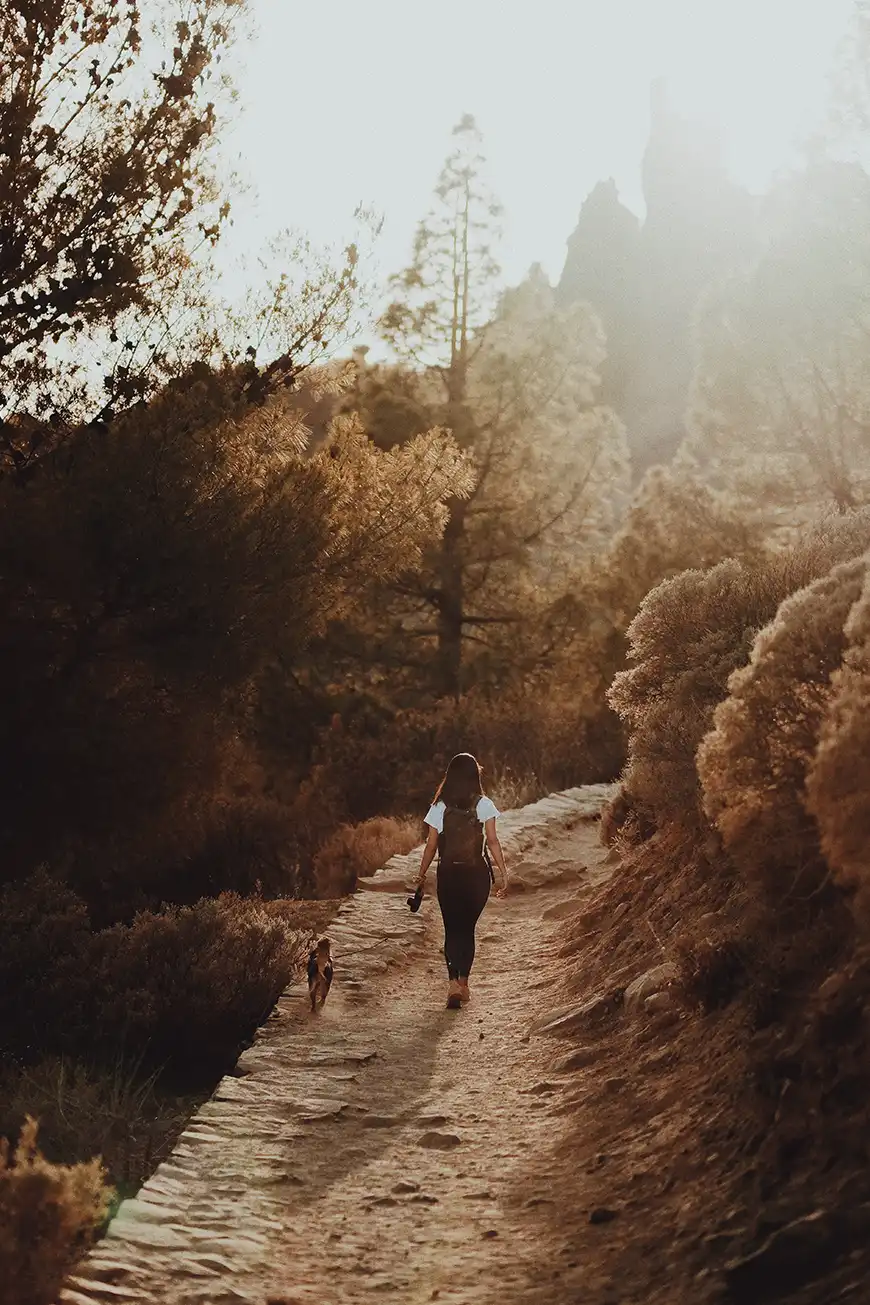 Substance abuse counseling in California